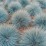 Festuca glauca 'Elijah Blue'
