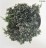 Juniperus horizontalis ICEE BLUE 'Monber' PBR