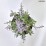 Perovskia atriplicifolia 'Prime Time' PBR