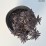 Iberis ABSOLUTELY AMETHYST 'IB 2401'